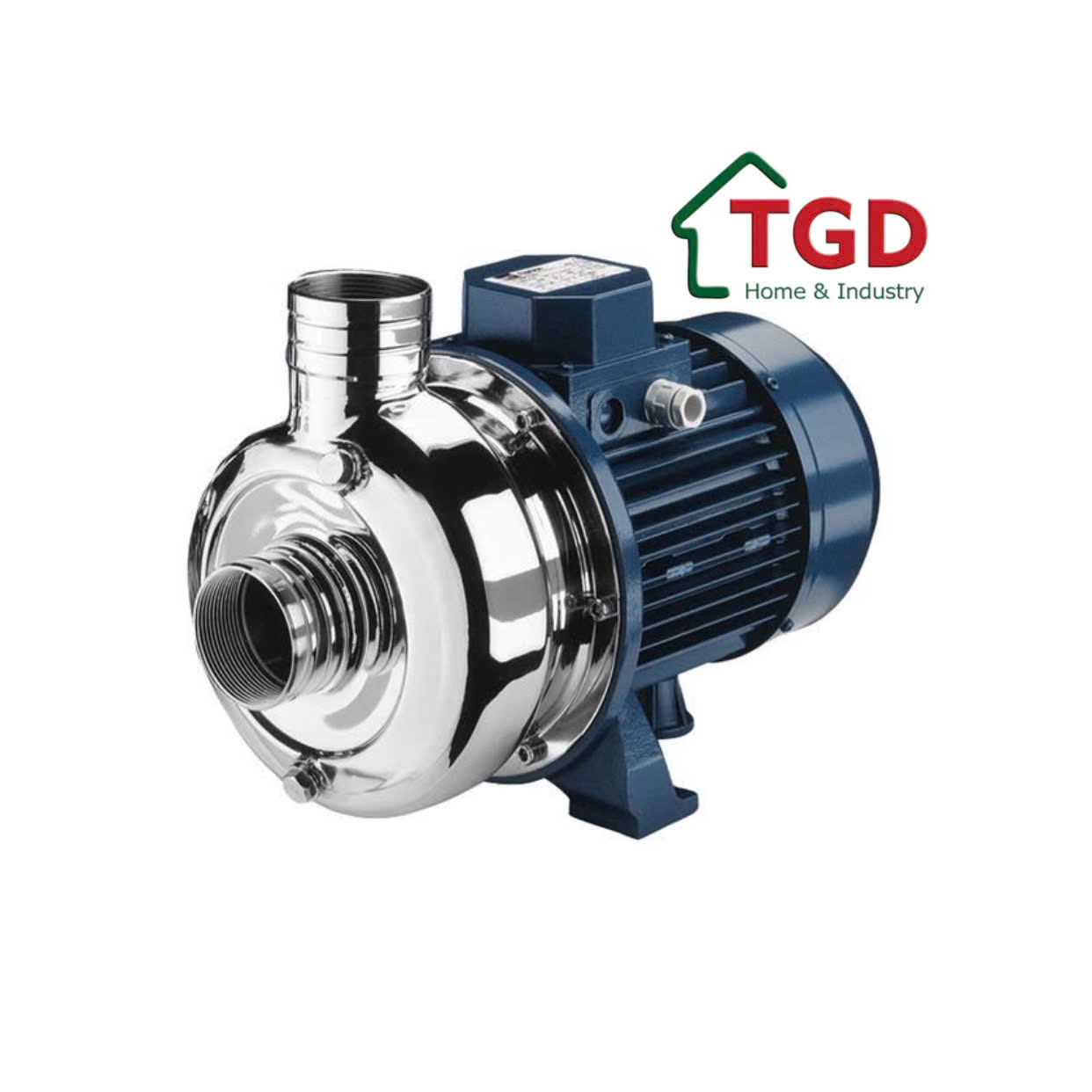 Máy bơm nước Ebara DWO 300